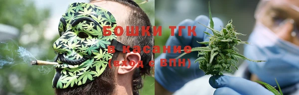 гидра Вяземский