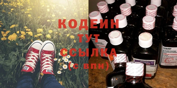 гидра Вяземский