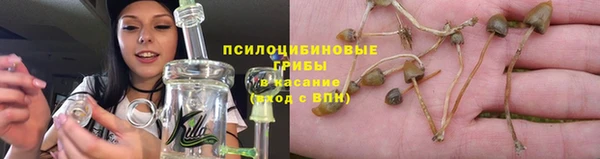 хмурый Вязники