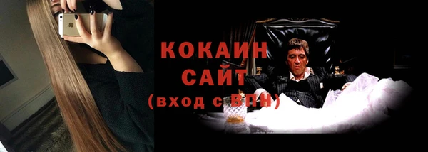 гидра Вяземский