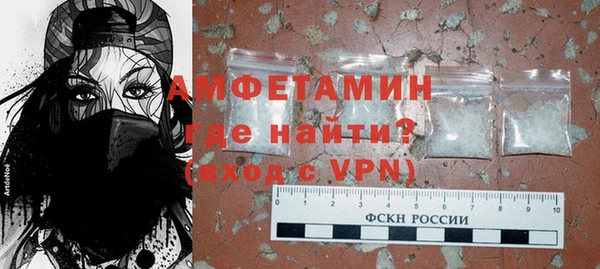 гидра Вяземский