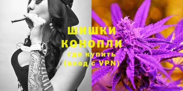гидра Вяземский