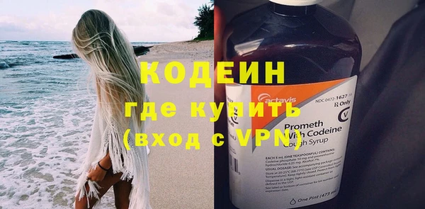 гидра Вяземский