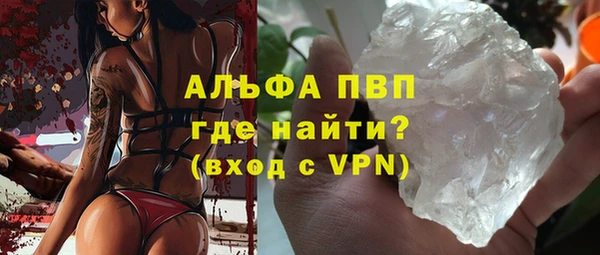 гидра Вяземский