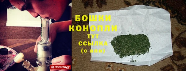 гидра Вяземский