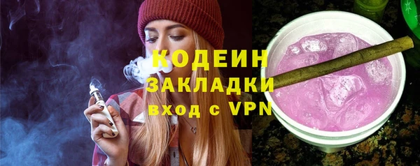гидра Вяземский